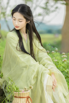野花视频